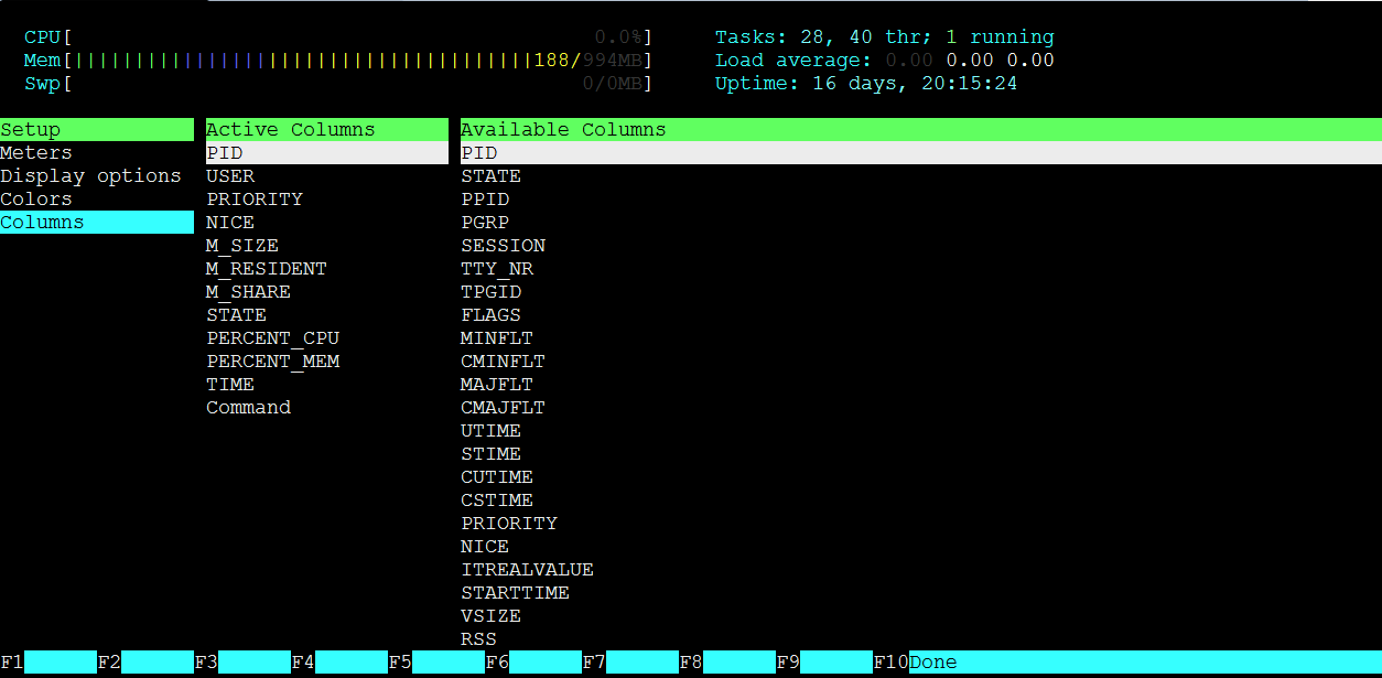 自定义 htop 进程列表